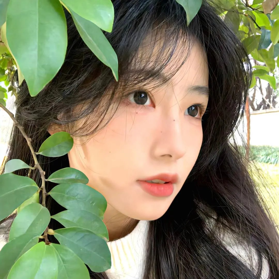 男孩和他的狗